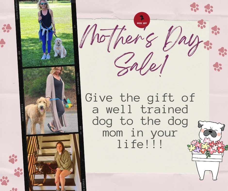 Happy Mother&rsquo;s Day to all the incredible moms and dog moms!

We see your love, patience, and all the hard work you put in &mdash; and we think you deserve a little treat!

GoodBoy&rsquo;s Mother&rsquo;s Day Sale is ON: Get 10% OFF any package o