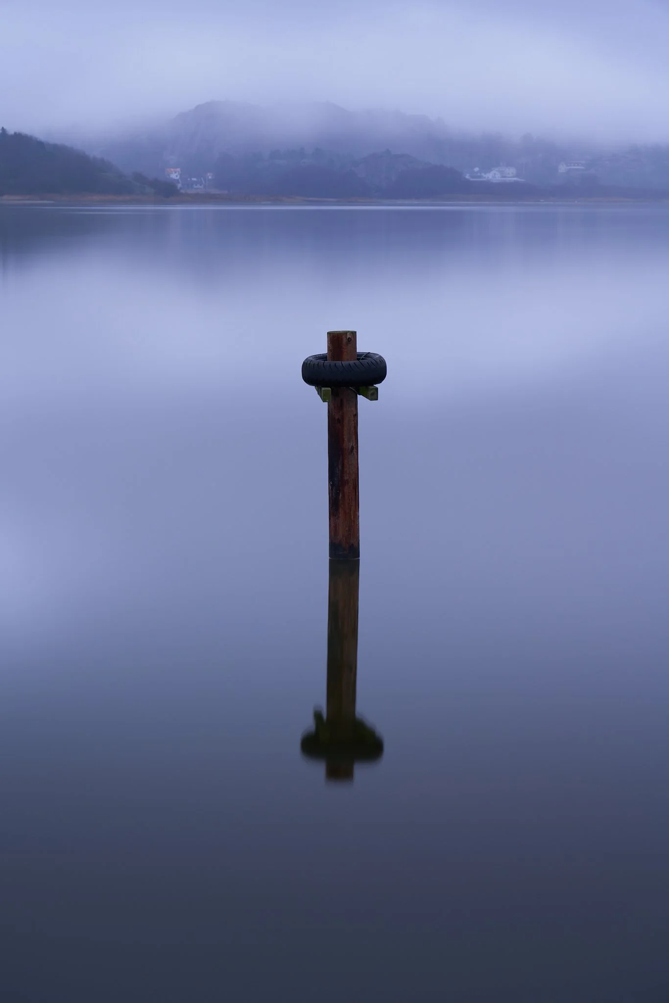 Zen2_nov. 13 2022 2.jpg