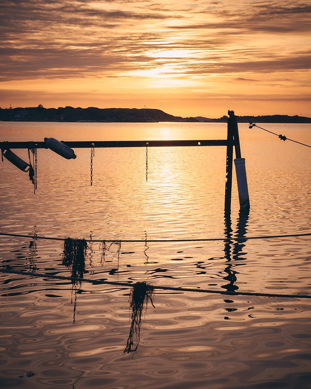 Sol vid Hunnebostrands brygga