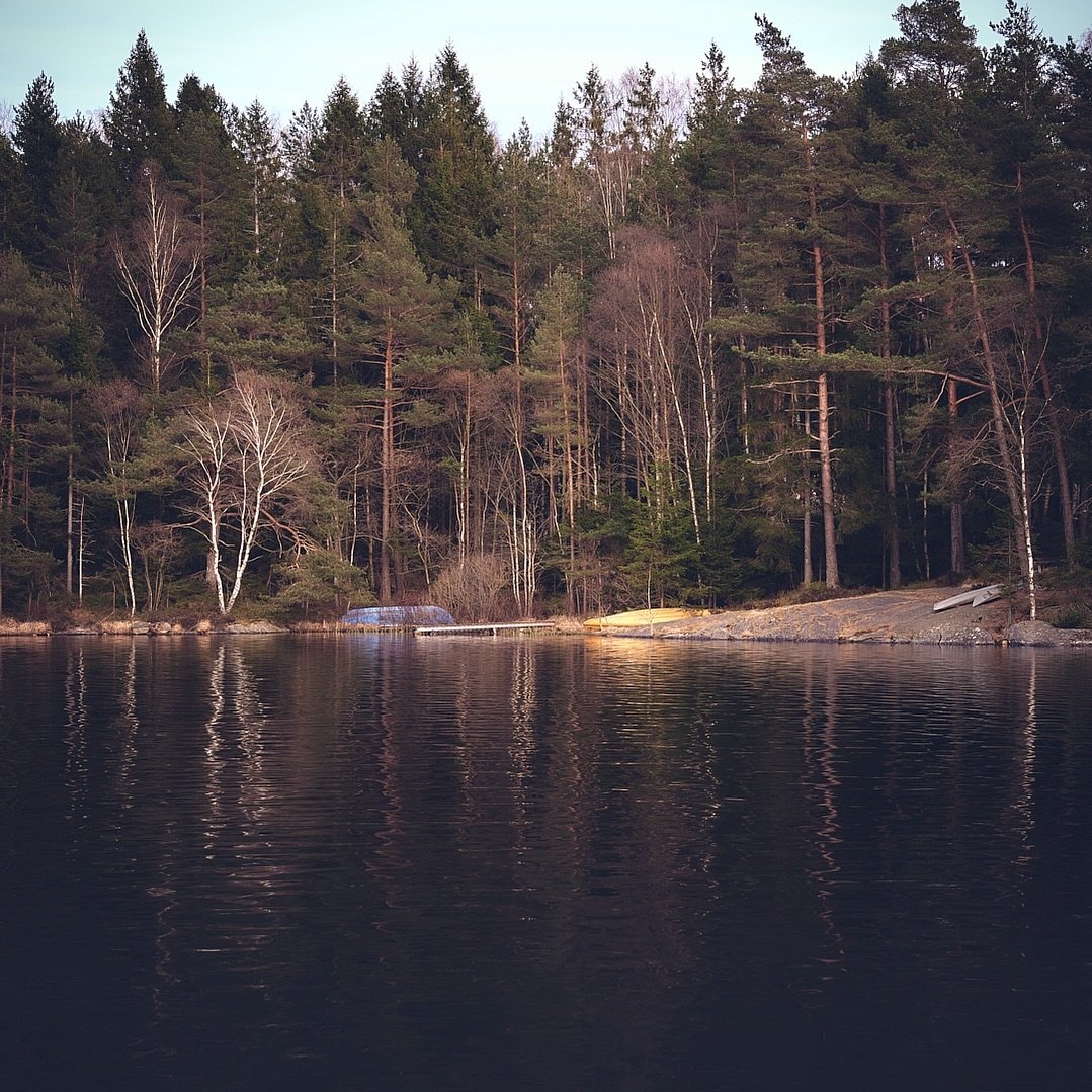The clearest way into the universe is through a forest of wilderness.
-John Muir 
.
.
.
.
.
#loves_sweden #h&auml;rryda #love_sweden #swedenimages #zenscape_photography #adventuretime #&auml;ventyr #vandring #svensknatur #swedishnature #retrophotogra