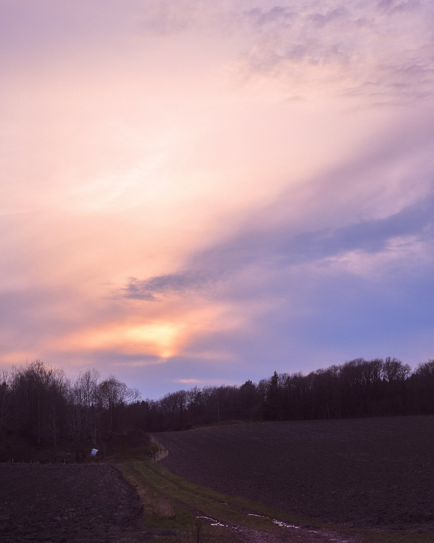 Cool sky over the fields 
.
.
.
.
#sunset #pastelsunset #soten&auml;s #vandringslederisverige #soteleden #soteledentrail #tossene #zenscape_photography #m&ouml;h&auml;llernsg&aring;rd