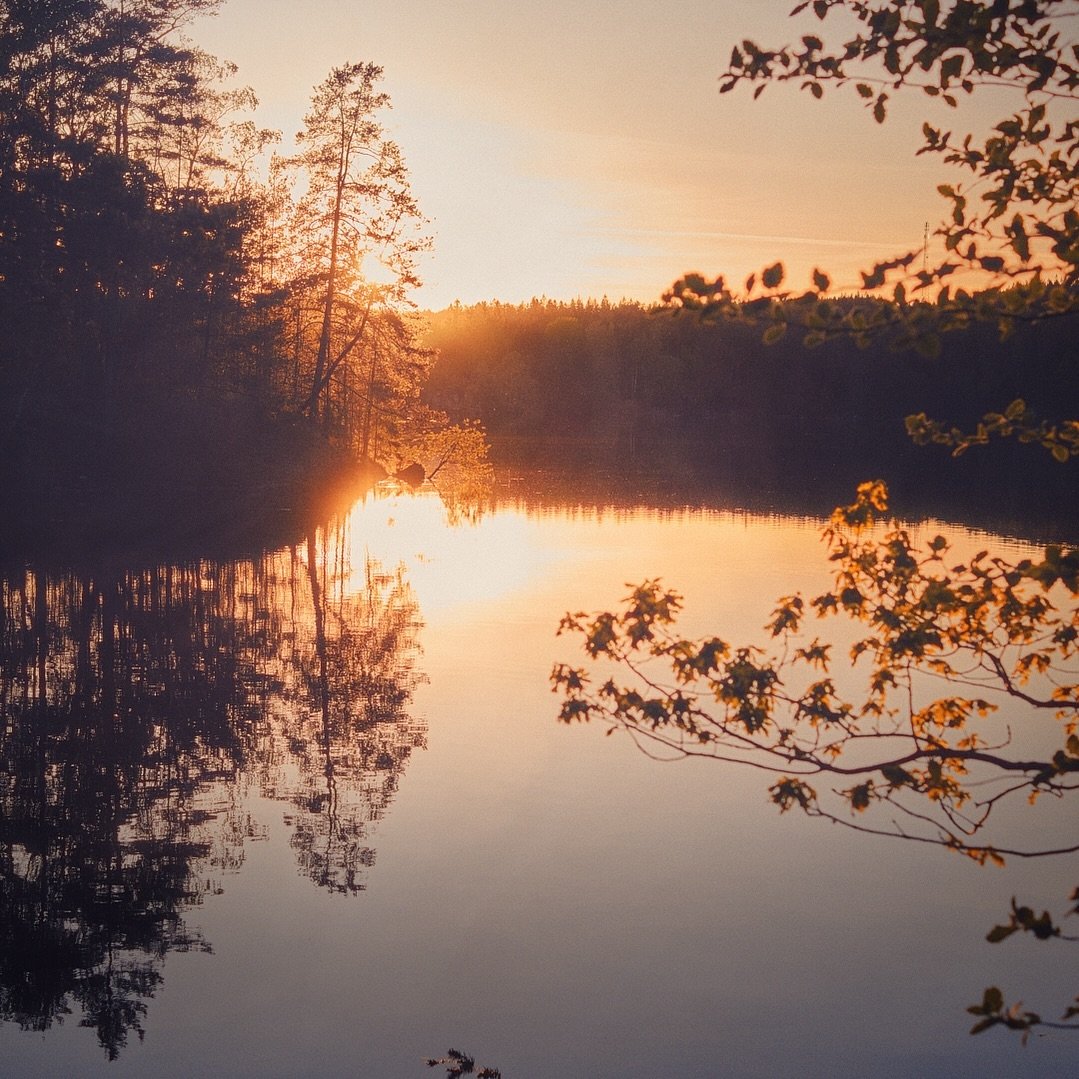 Sunset at the lake.
.
.
.
.
.
#loves_sweden @visomalskarnaturen #visom&auml;lskarnaturen #sweden #svensknatur #solnedg&aring;ng #h&auml;rskogen #h&auml;rryda #zenscape_photography #vandring #swedishsunset #sweden #sverige #analogvibes #80svibe #analo