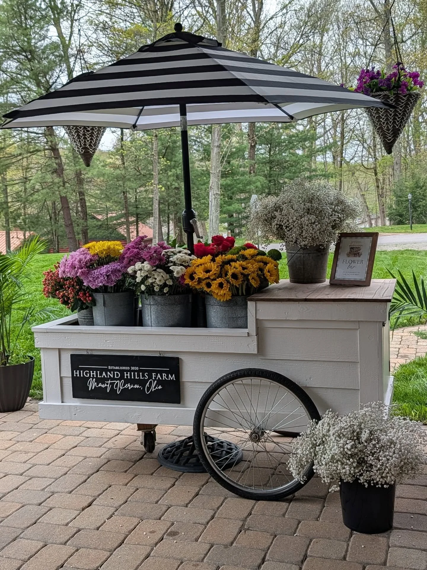My flower cart made her first debut for the 2026 season. A beautiful set-up for a bridal shower. I did not grow these flowers myself, but the cart looked gorgeous filled to the brim with a variety of beautiful stems. Everyone loved making their own b