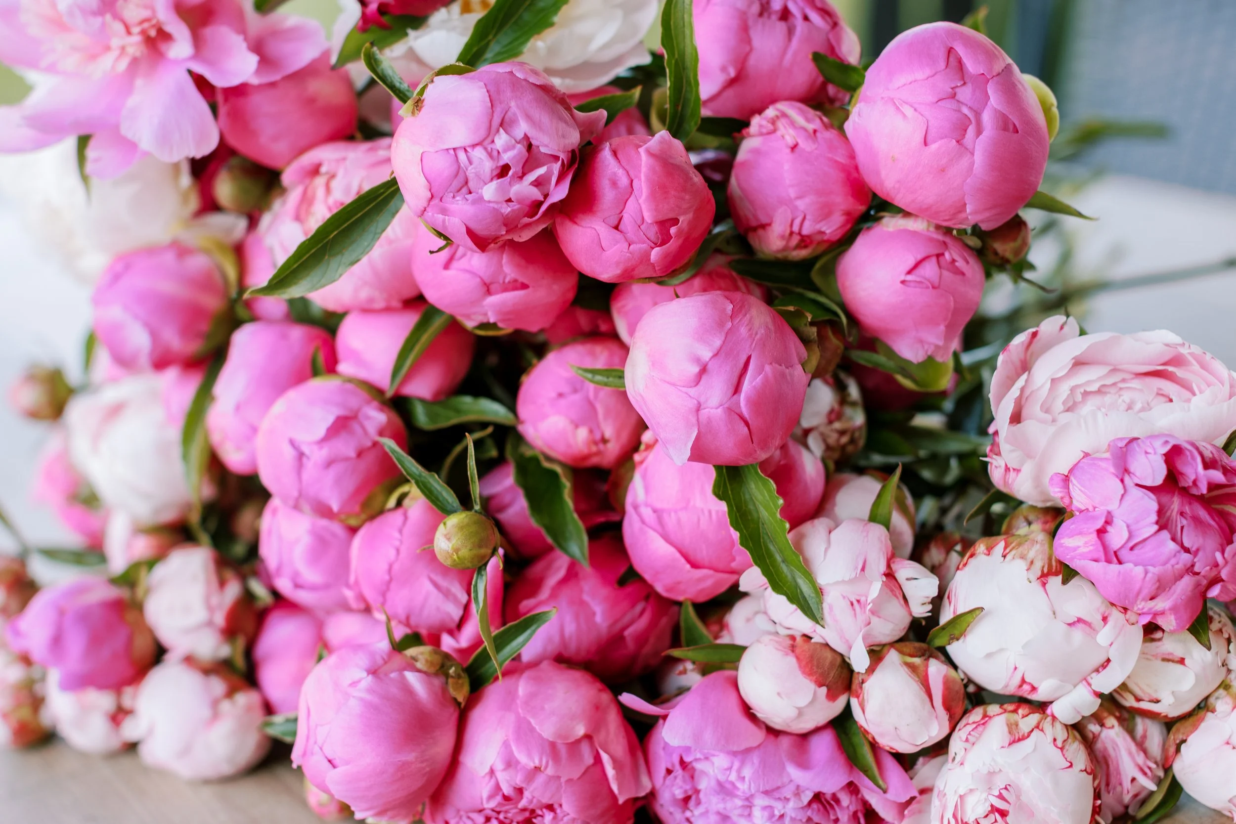 3 week peony subscription