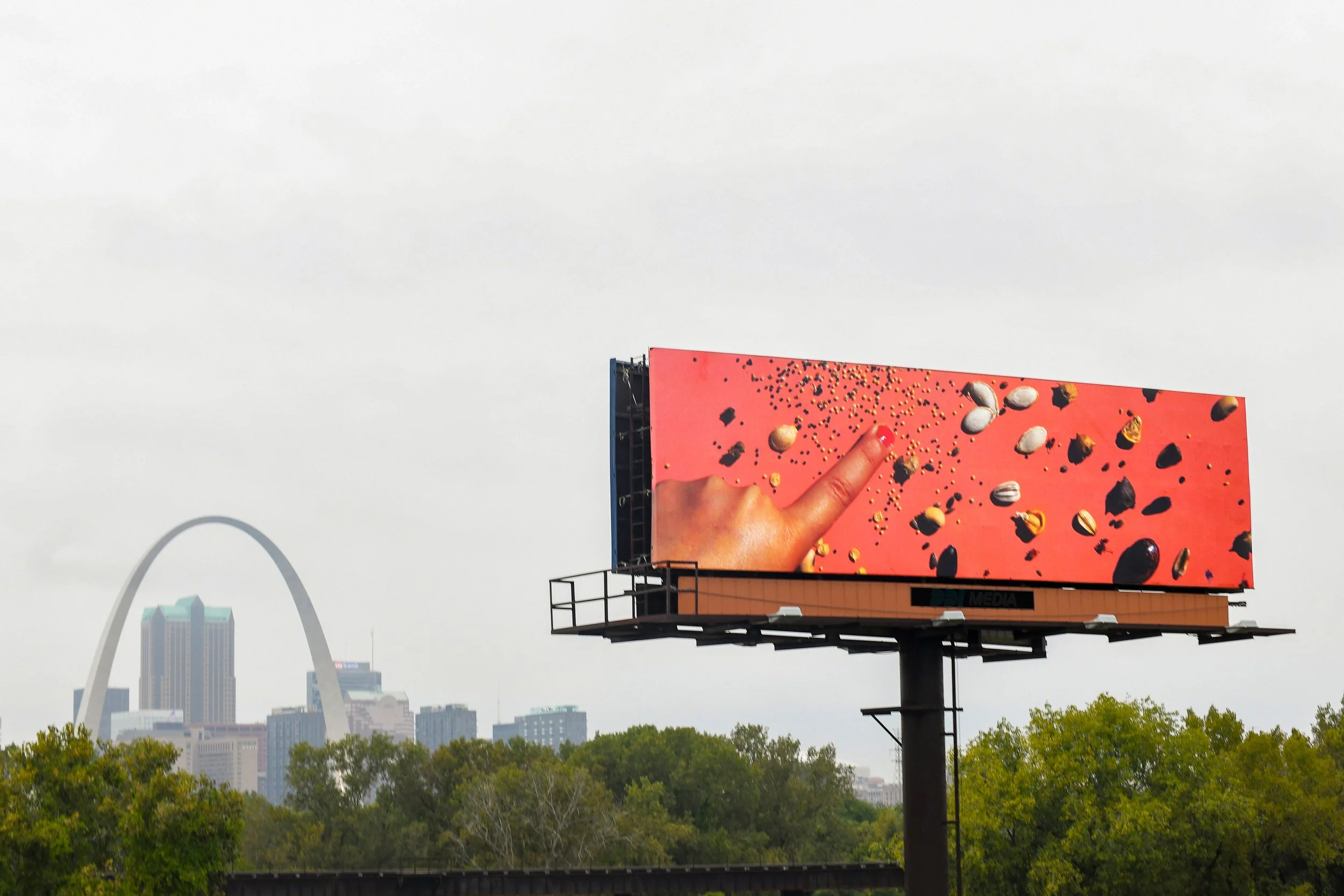 Aeron Bergman and Alejandra Salinas: Consuming Nature