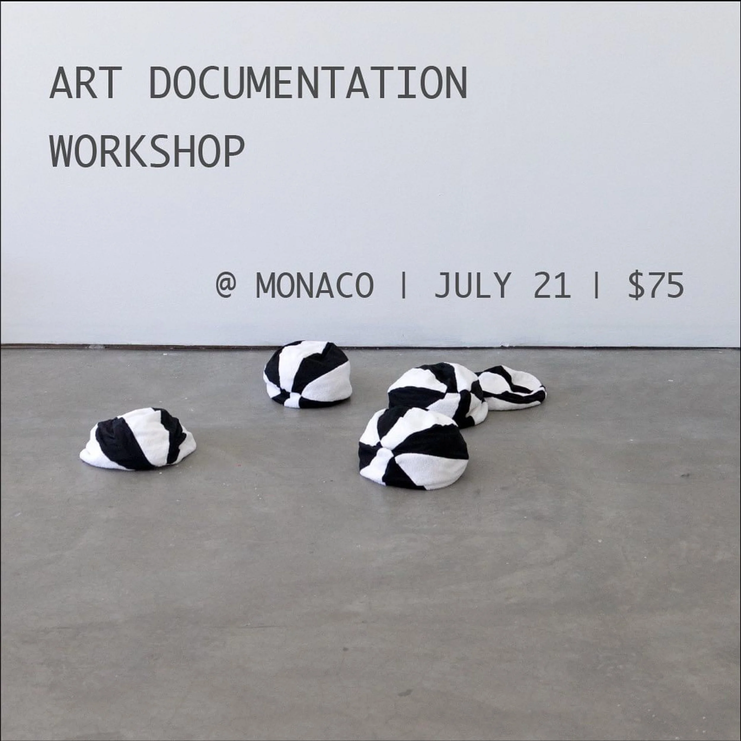 Art Documentation Workshop