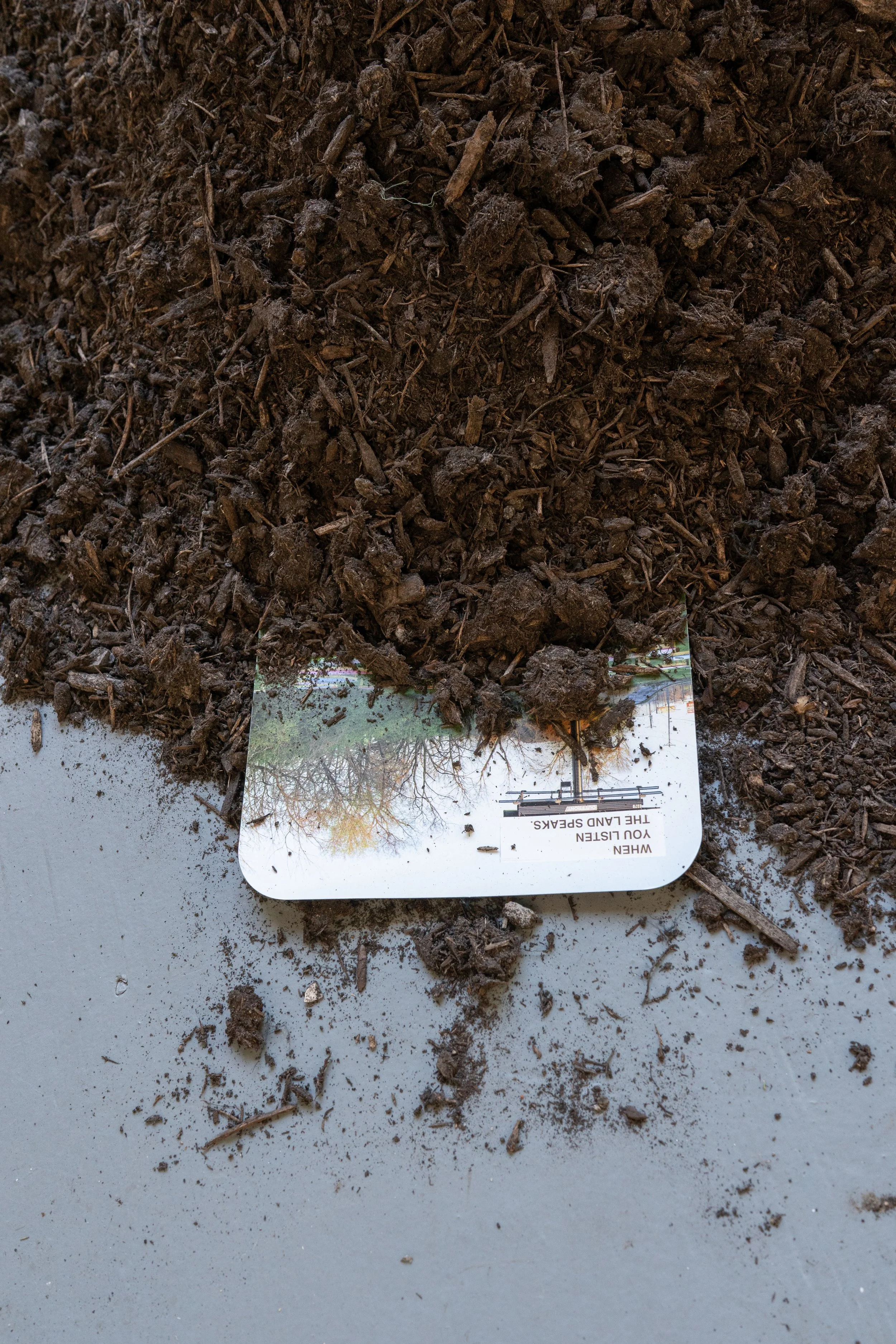 Luminary Considering St. Louis Install-12.jpg