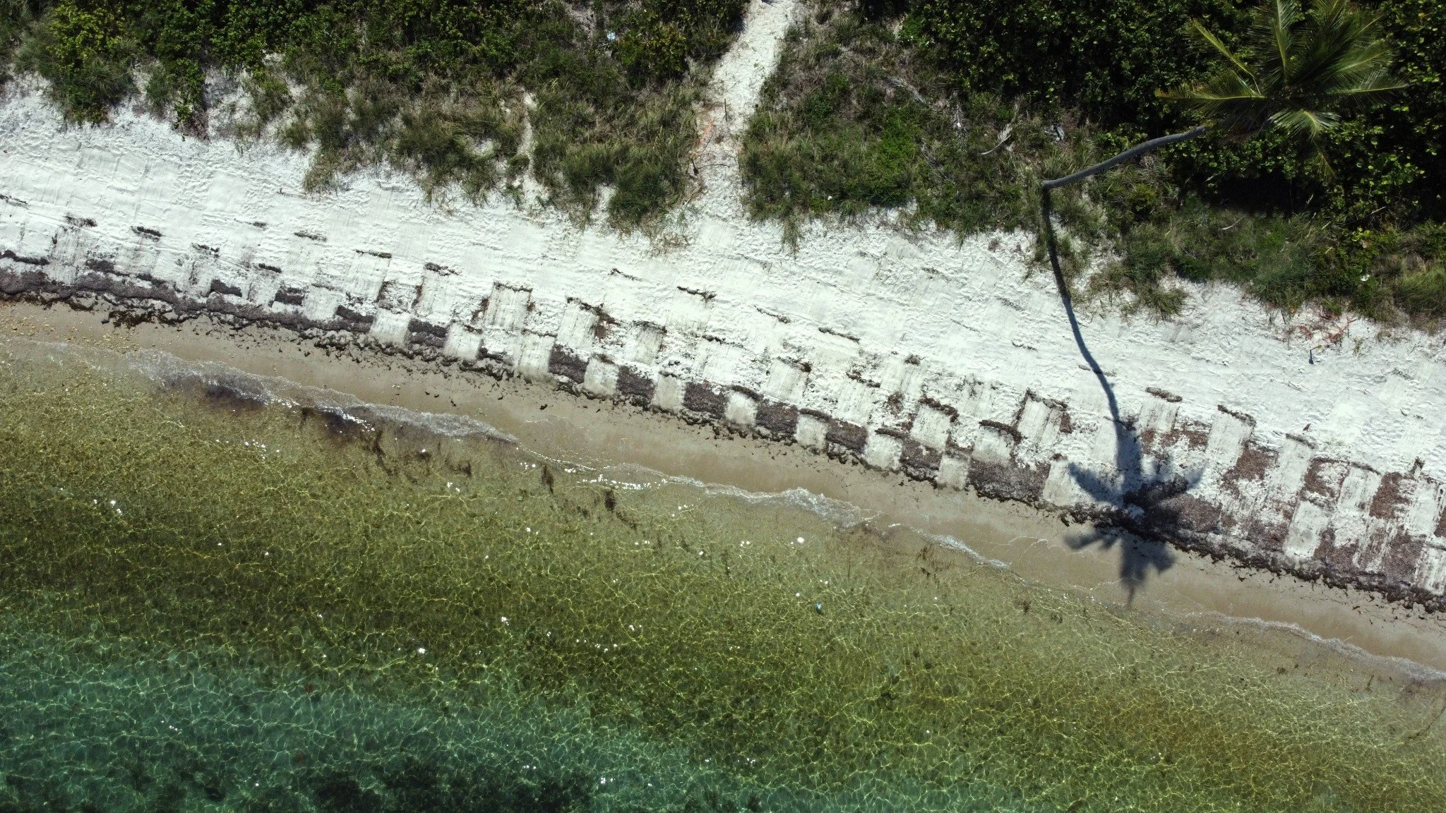 Jesus Hilario Reyes_Crossing4.jpg