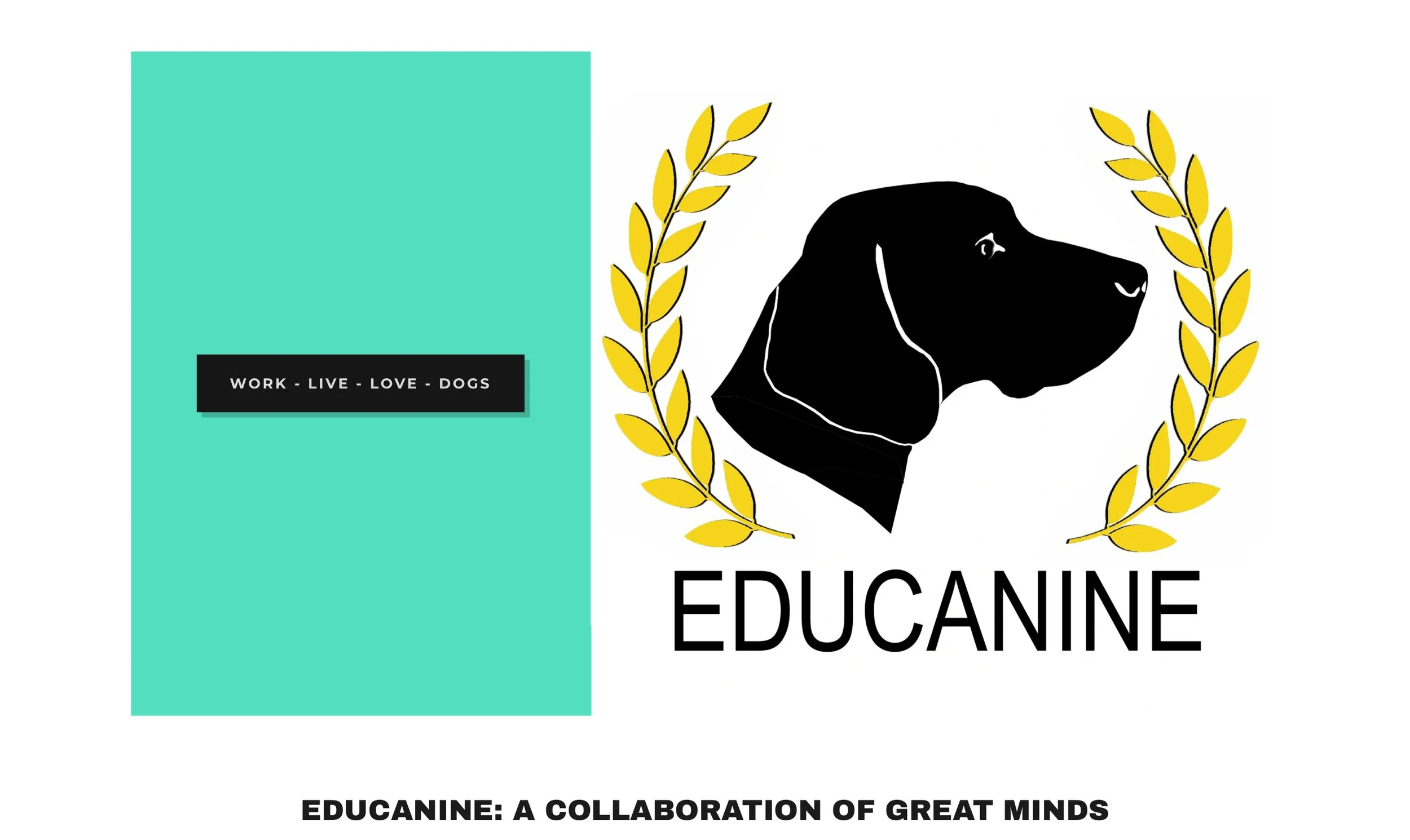 Educanine Dog Training