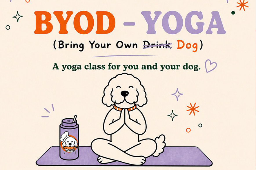 BYOD Yoga - Bring Your Own DOG
