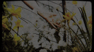 Animation & Video Reel