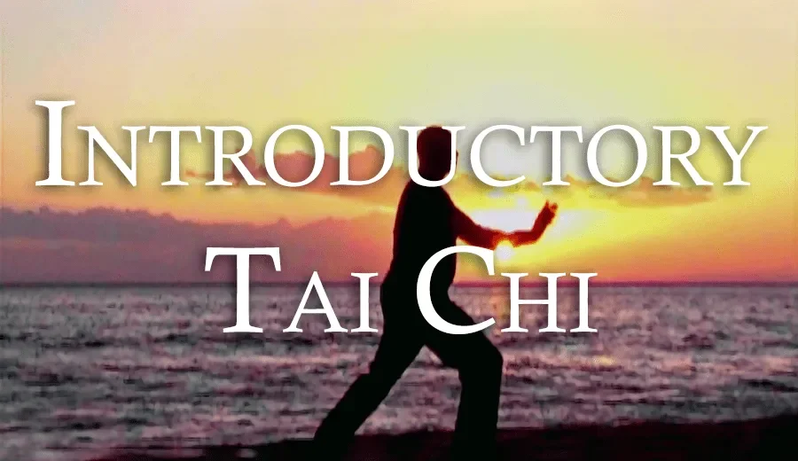 Introduction to Tai Chi 