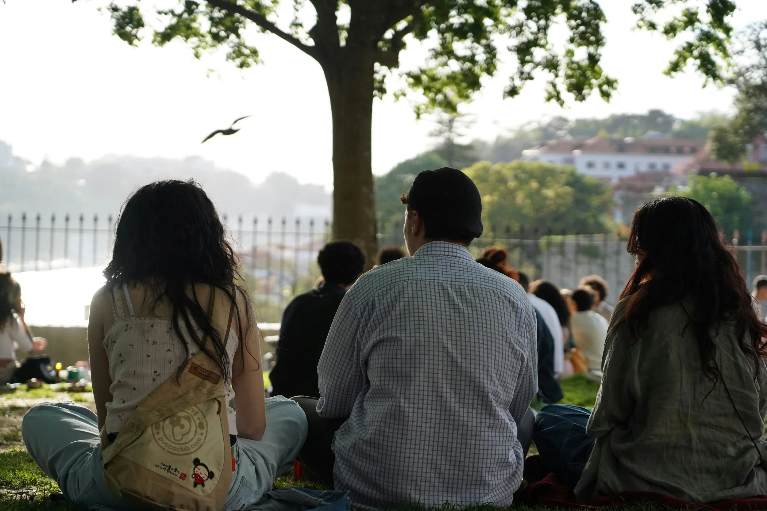 The Meeting Place