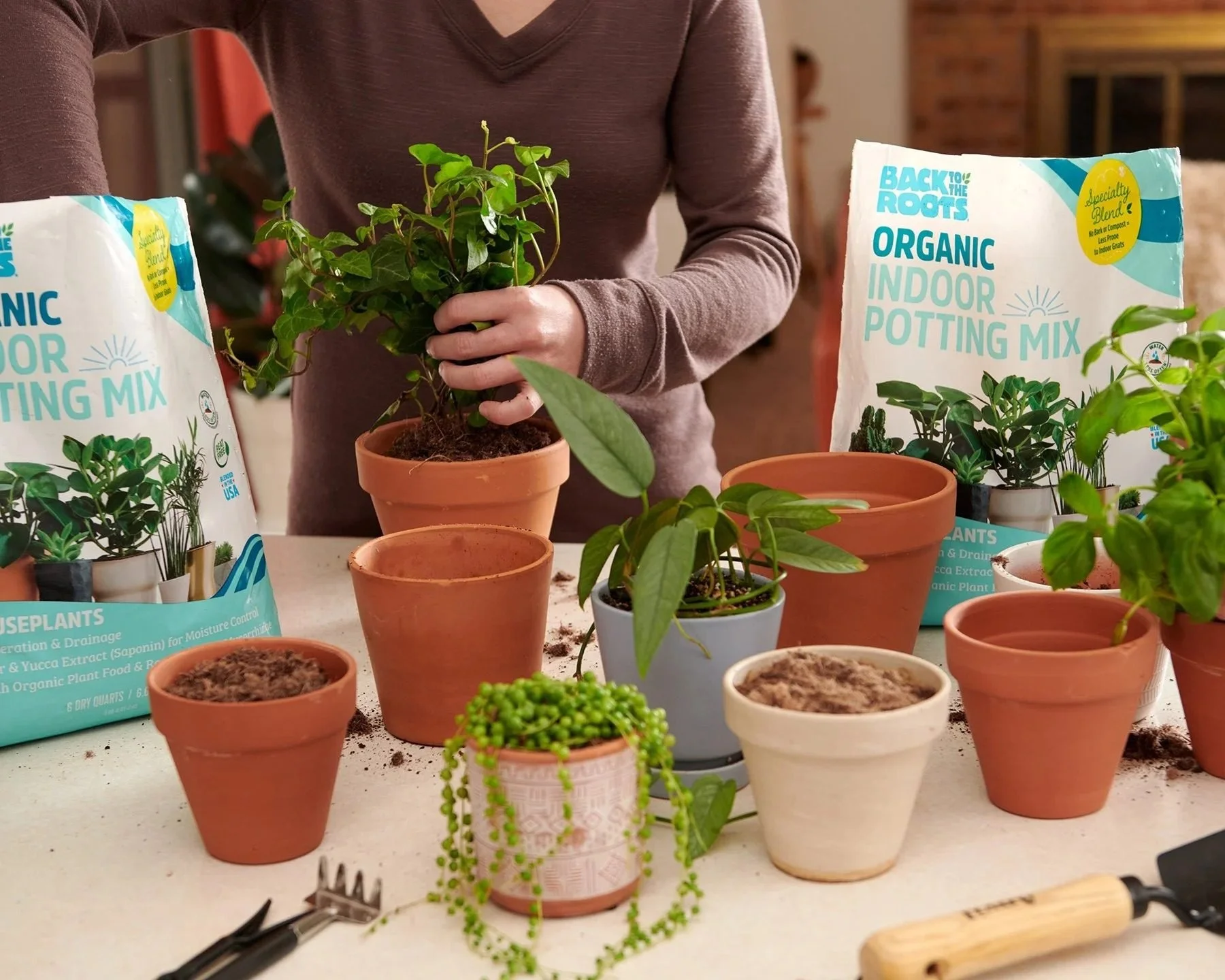 Hands potting plants with Back to the Roots potting mix bags, CPG lifestyle photography