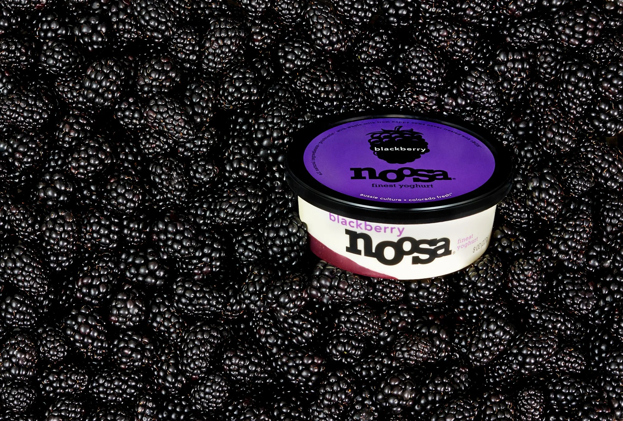 cpg-photo-noosa-yogurt-packaging-lifestyle-1863.jpg