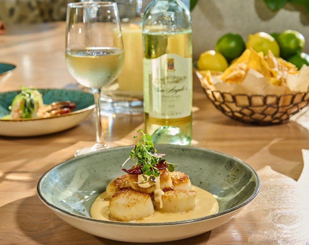 Seared scallops with a glass of white wine at the table