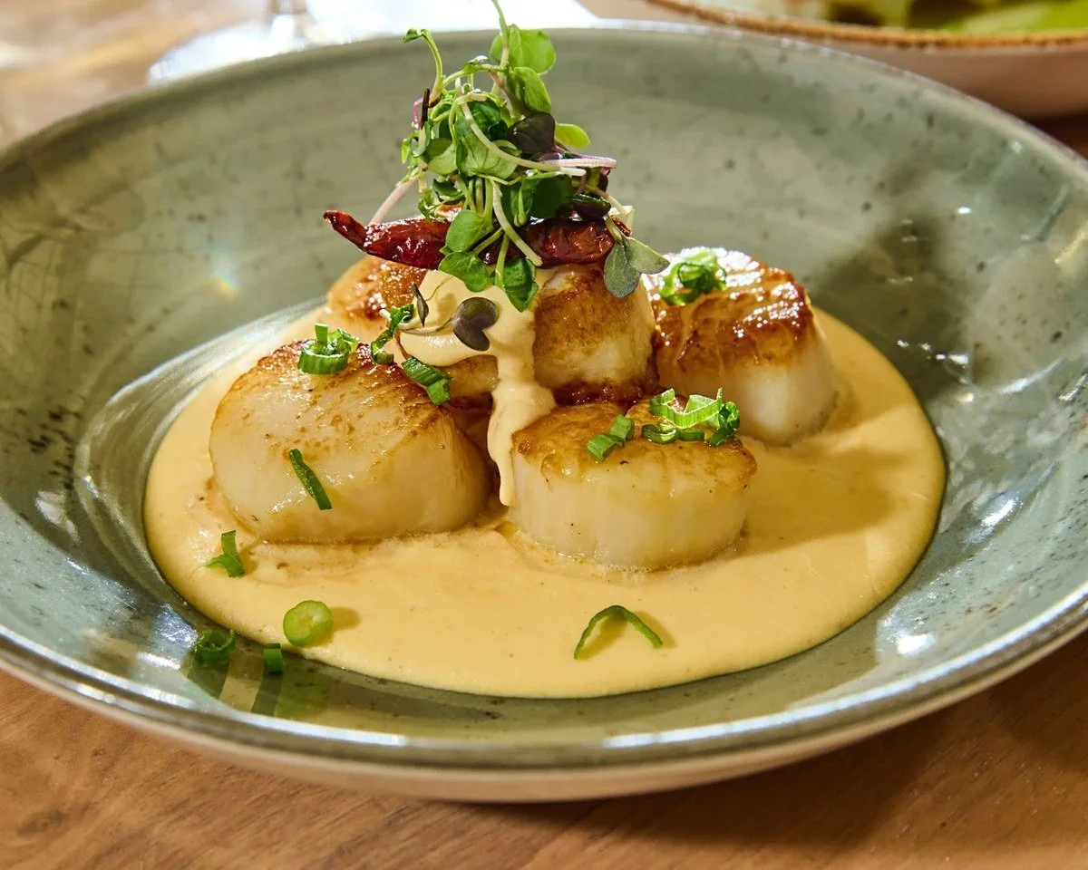 Seared scallops in cream sauce