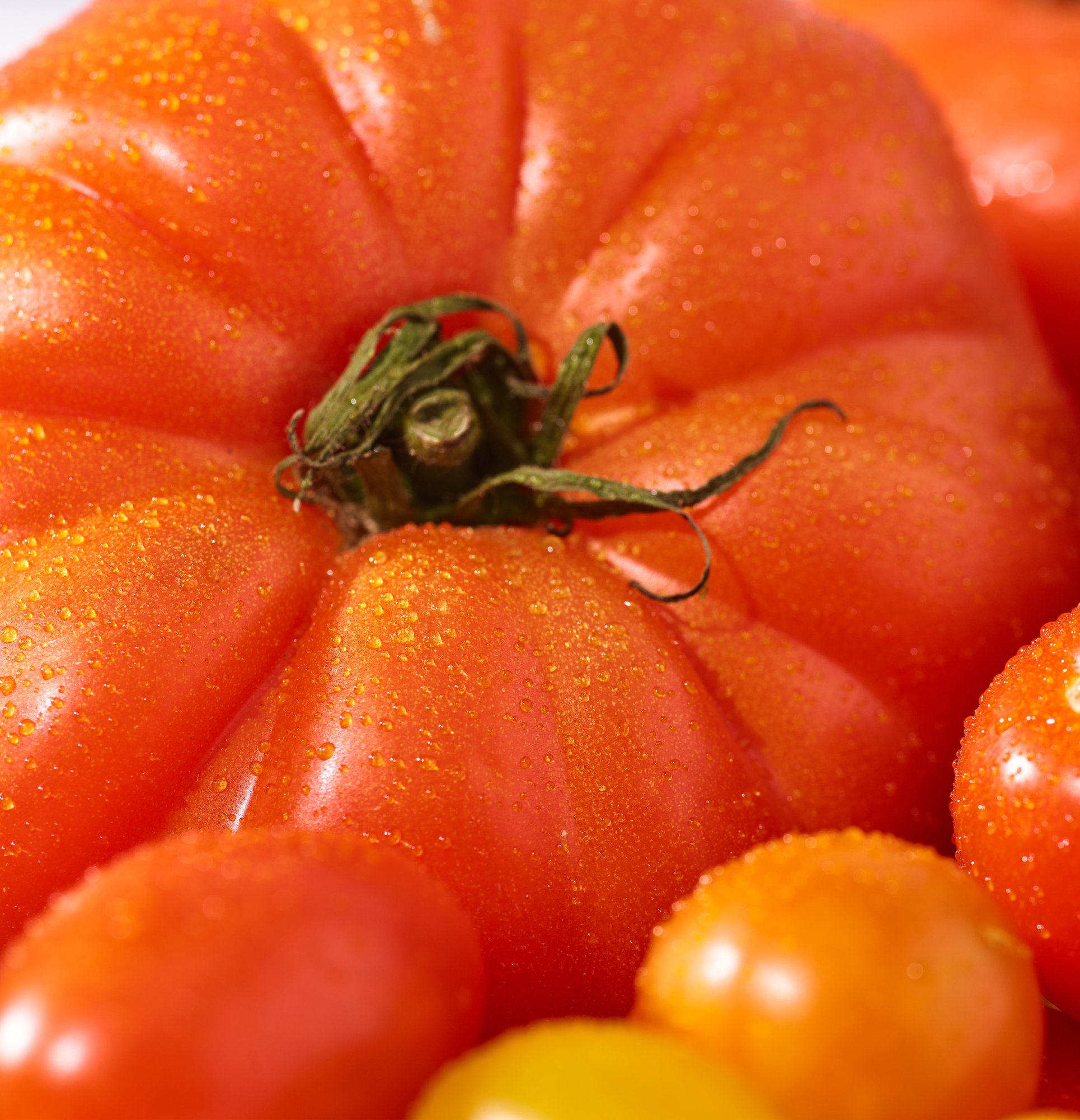 Close-up of a ripe red tomato with a green stem, covered in water droplets.