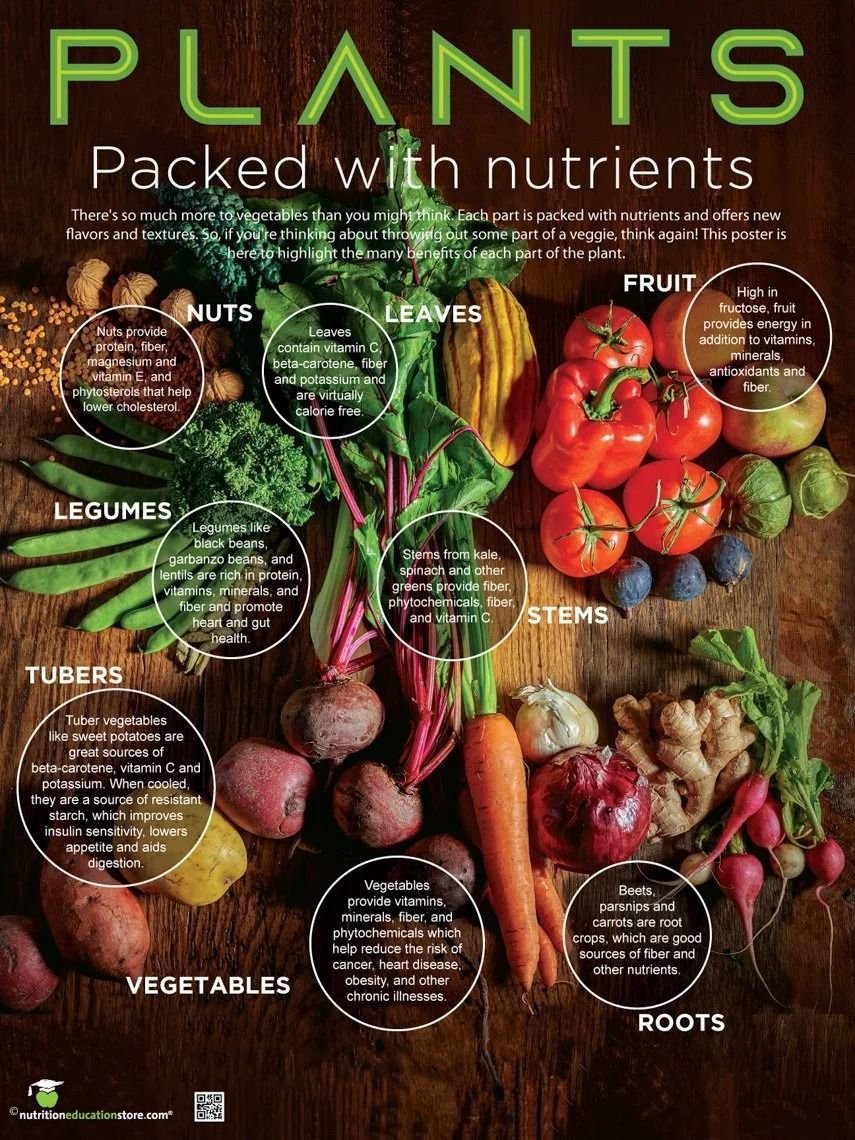 Plants Packed with Nutrients cover with vegetables, fruit and legumes, food photography by Judy Doherty