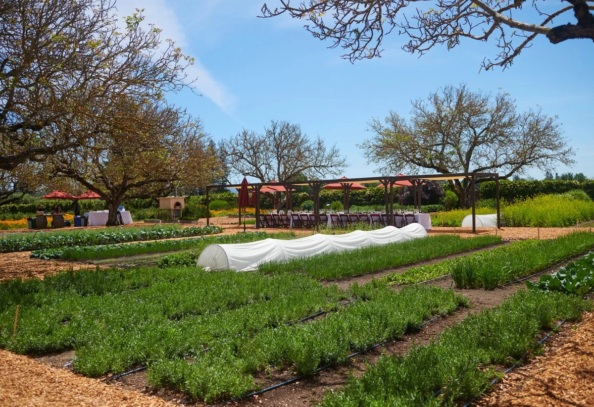 Rows of herbs and vegetables in the Kendall-Jackson garden