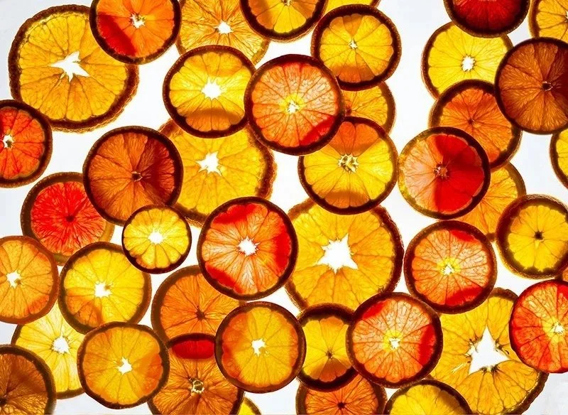 Backlit orange and citrus slices, food art photography