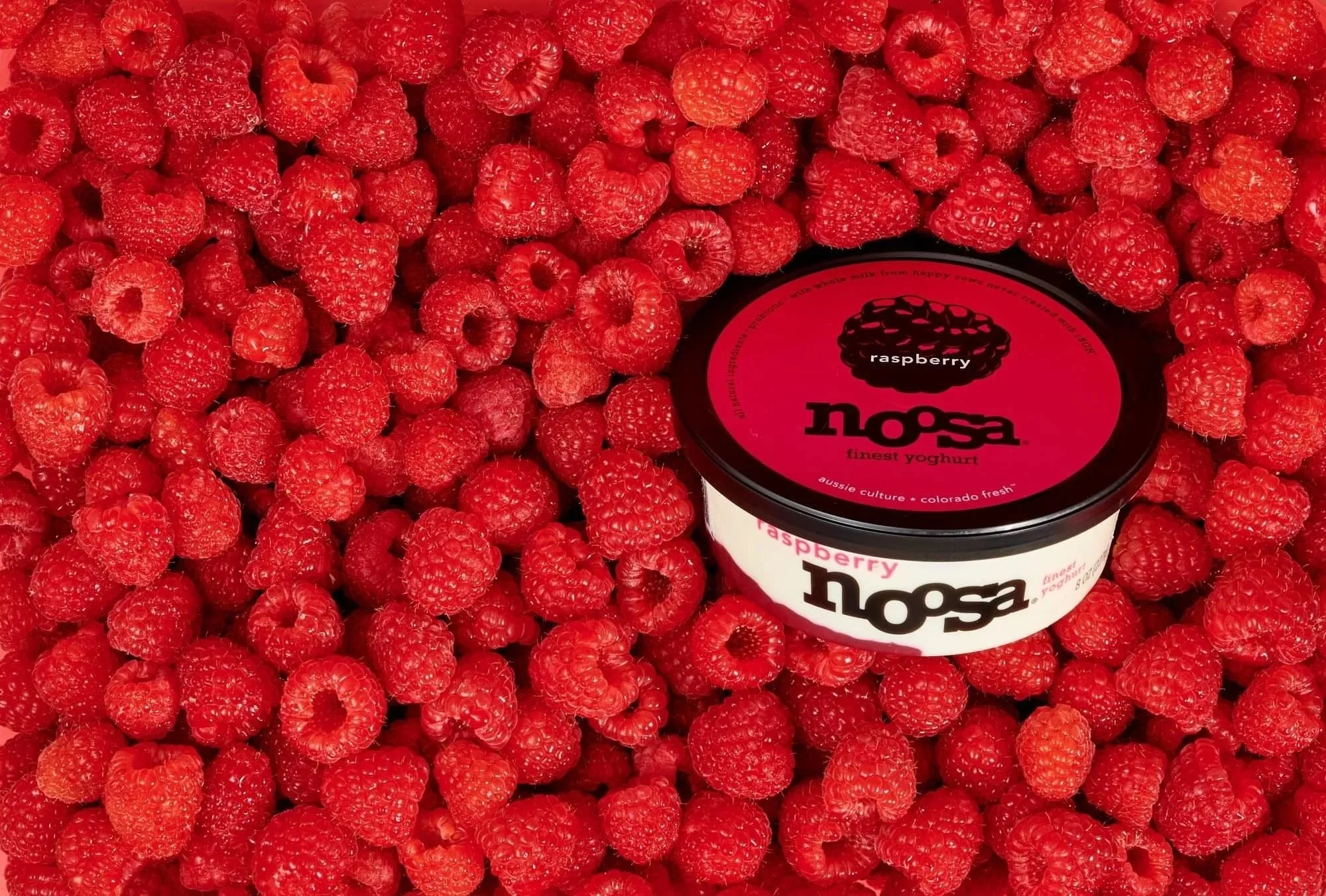 Noosa yogurt cup on a bed of fresh raspberries, CPG product photography