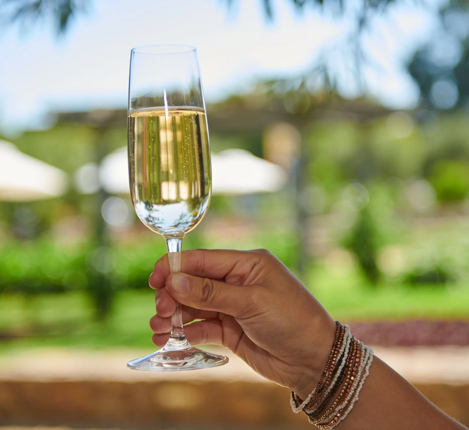 Guest raising a glass of champagne at a CIA at Copia event, event photography