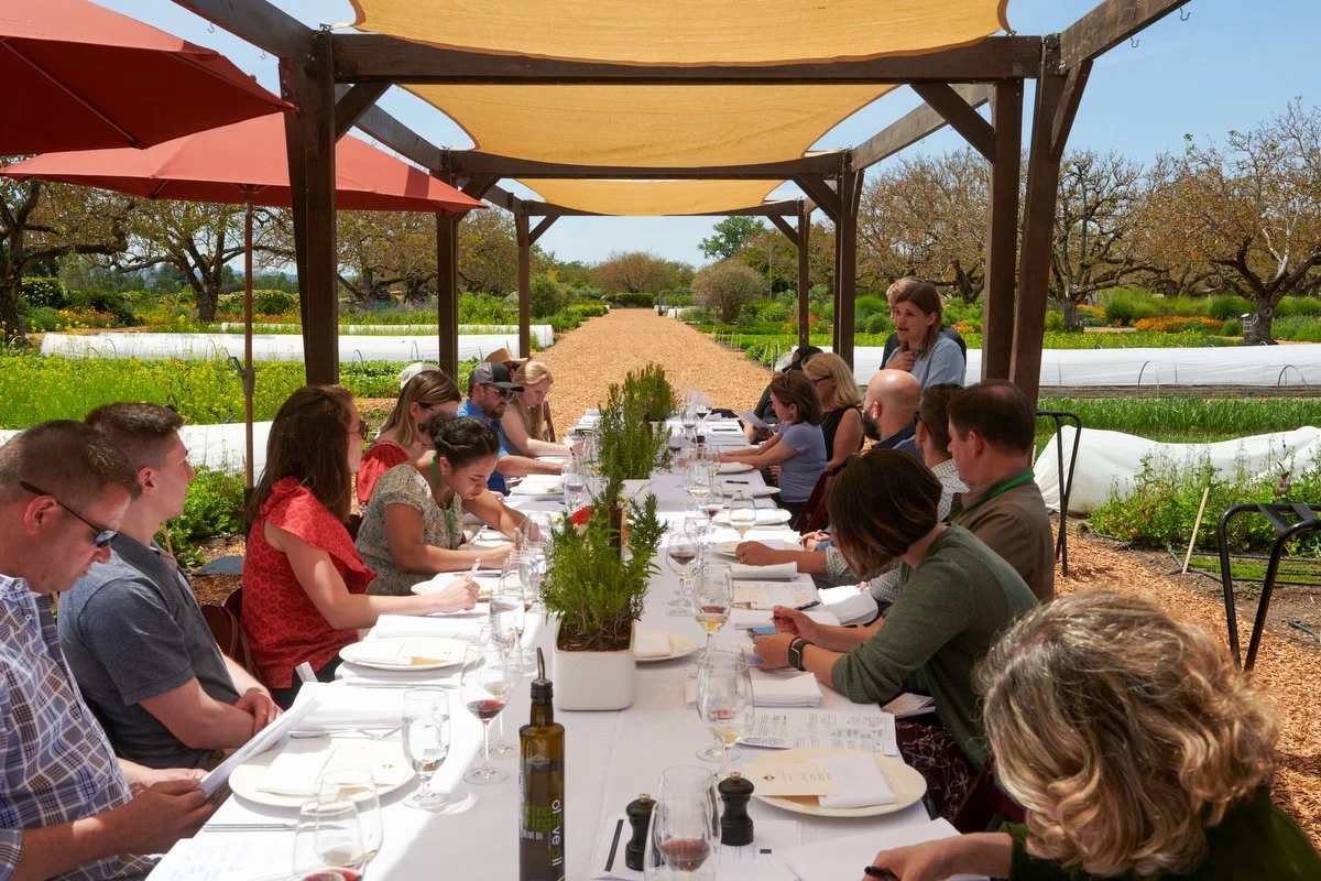 Long lunch table under shade sails in the garden