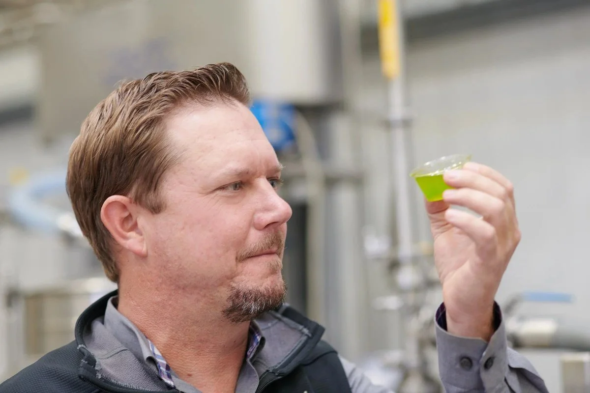 Man examining a small glass of green liquid at a tasting