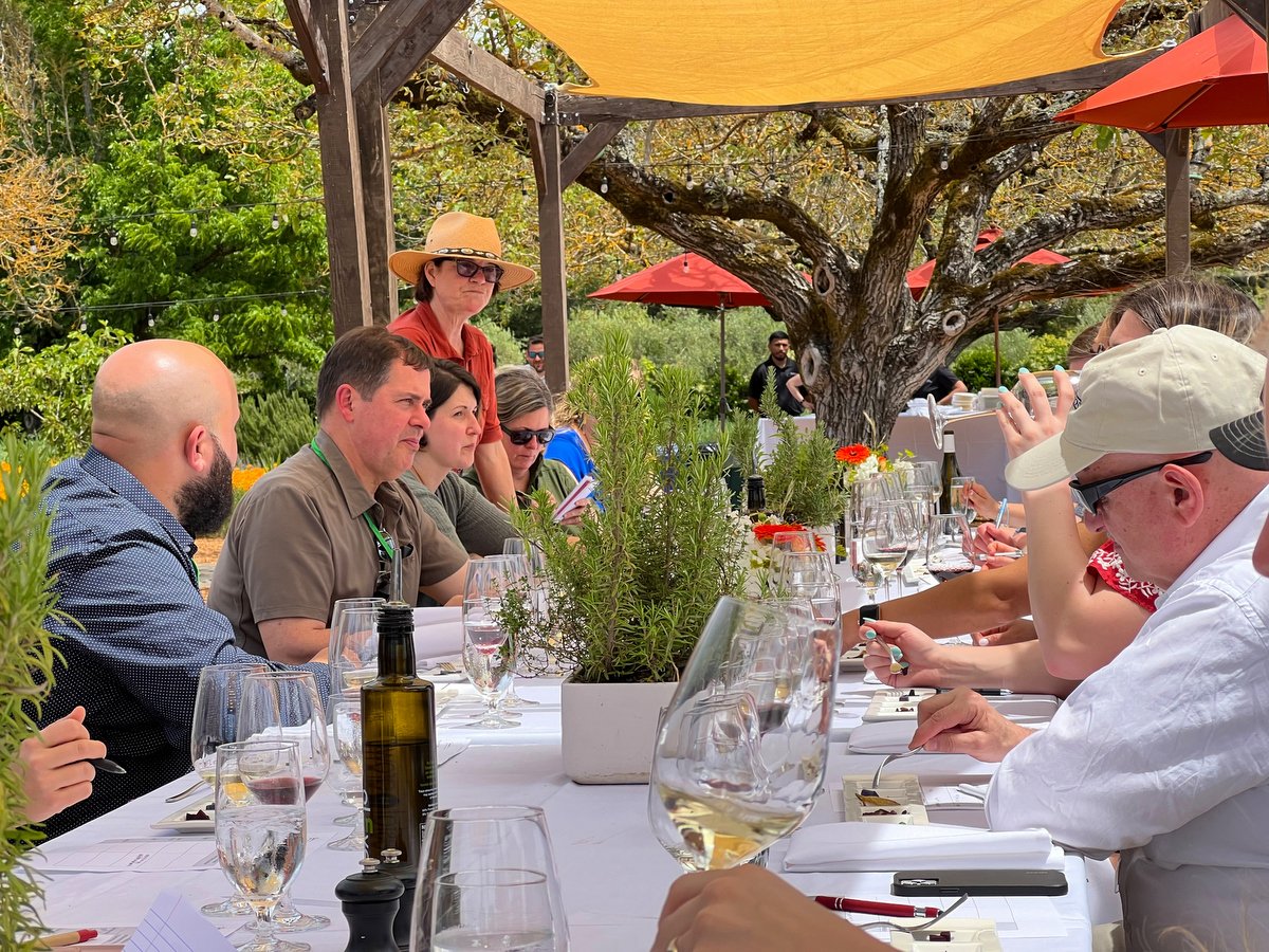 Guests at a long garden lunch table