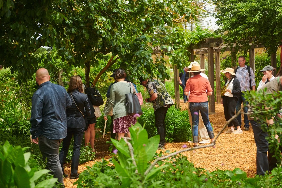 Group touring a culinary garden