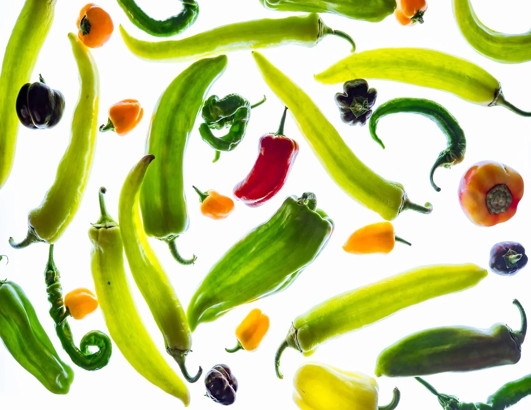Green chili peppers falling on a white background. Produce and ingredient photography for packaging and ads.
