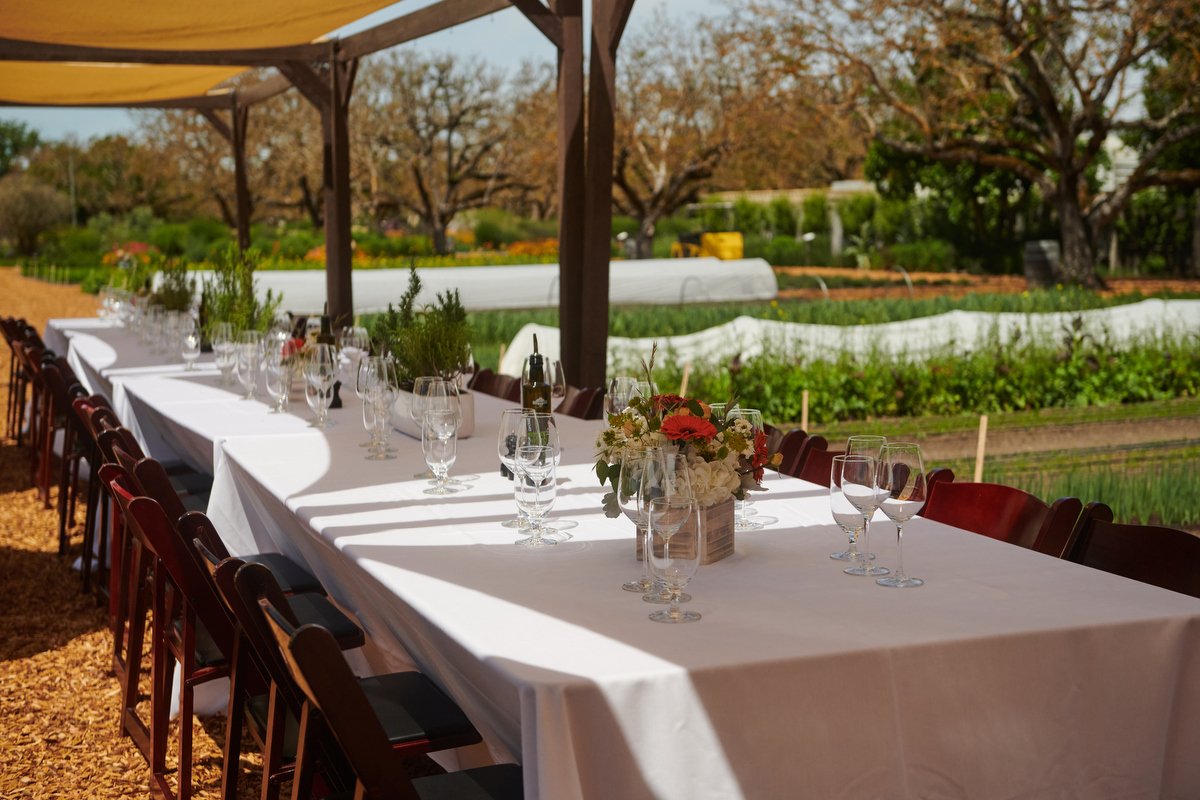 Long white-clothed table set for a garden lunch