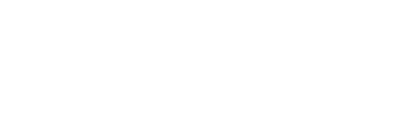 Circle Silver Partner badge