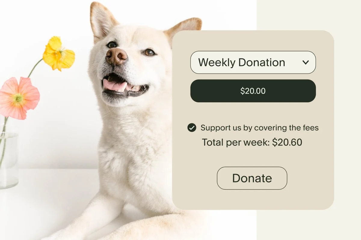 A weekly donation block on a Squarespace website