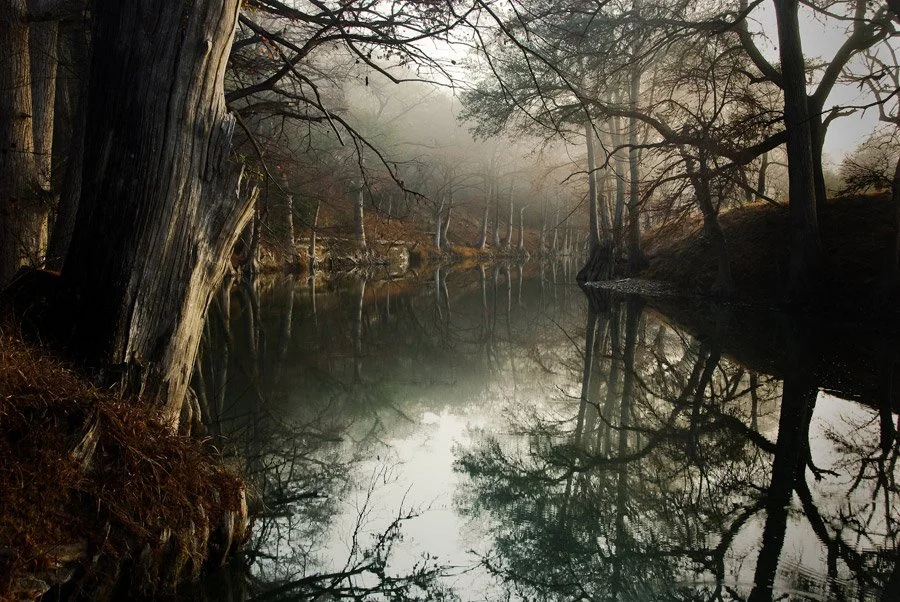 Riparian Recovery Network News