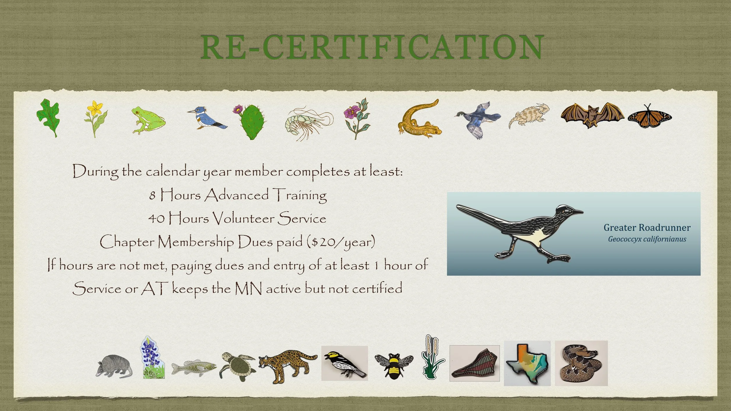 Slide4.JPG