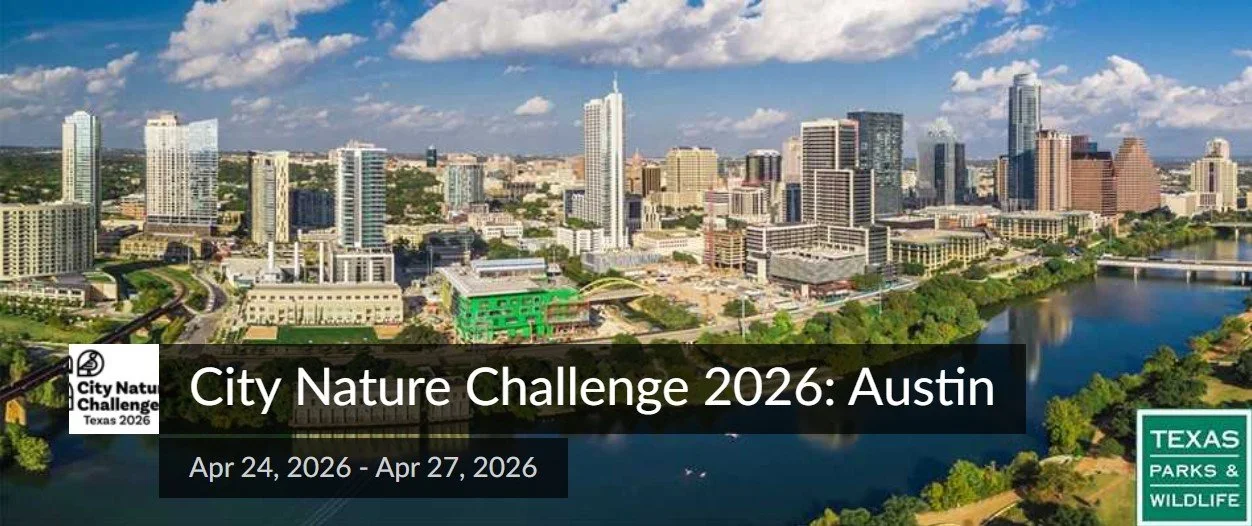 City Nature Challenge 2026