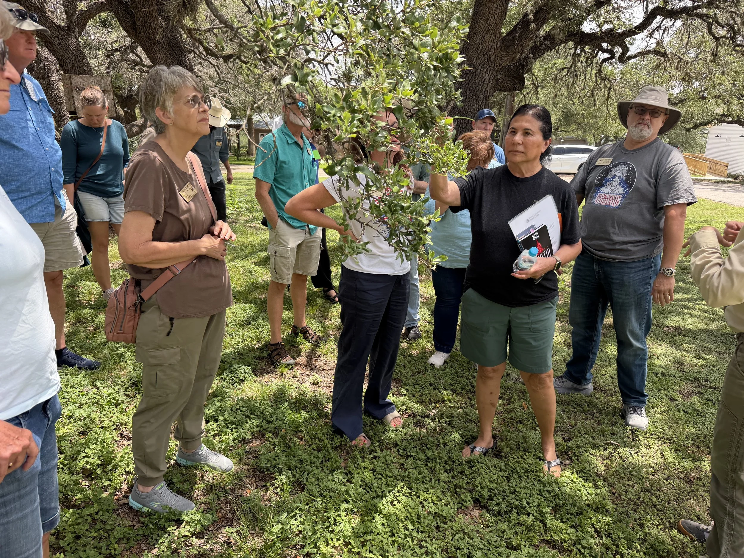 Tree Care and Forest Health