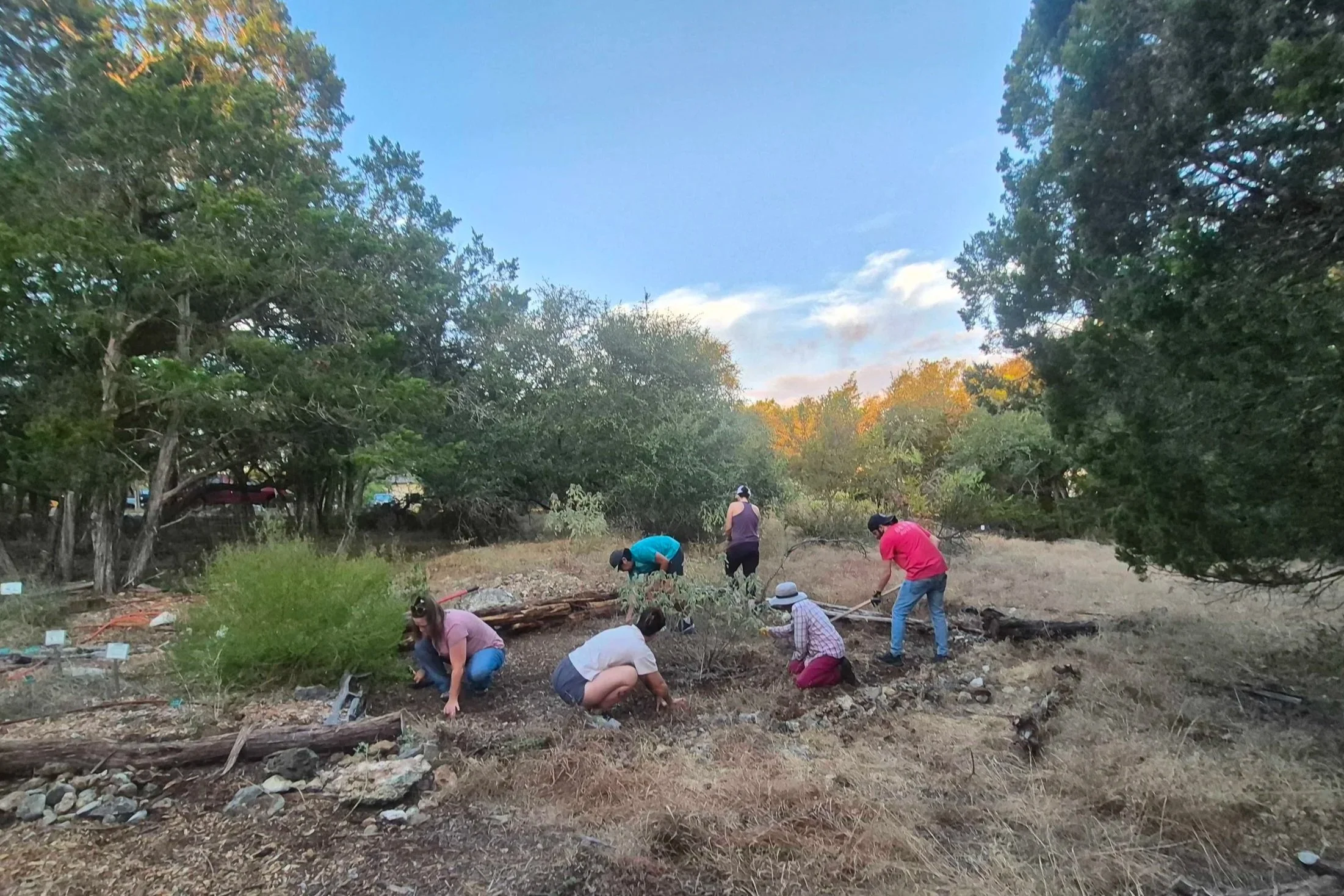 Pollinators for Texas Takes Root