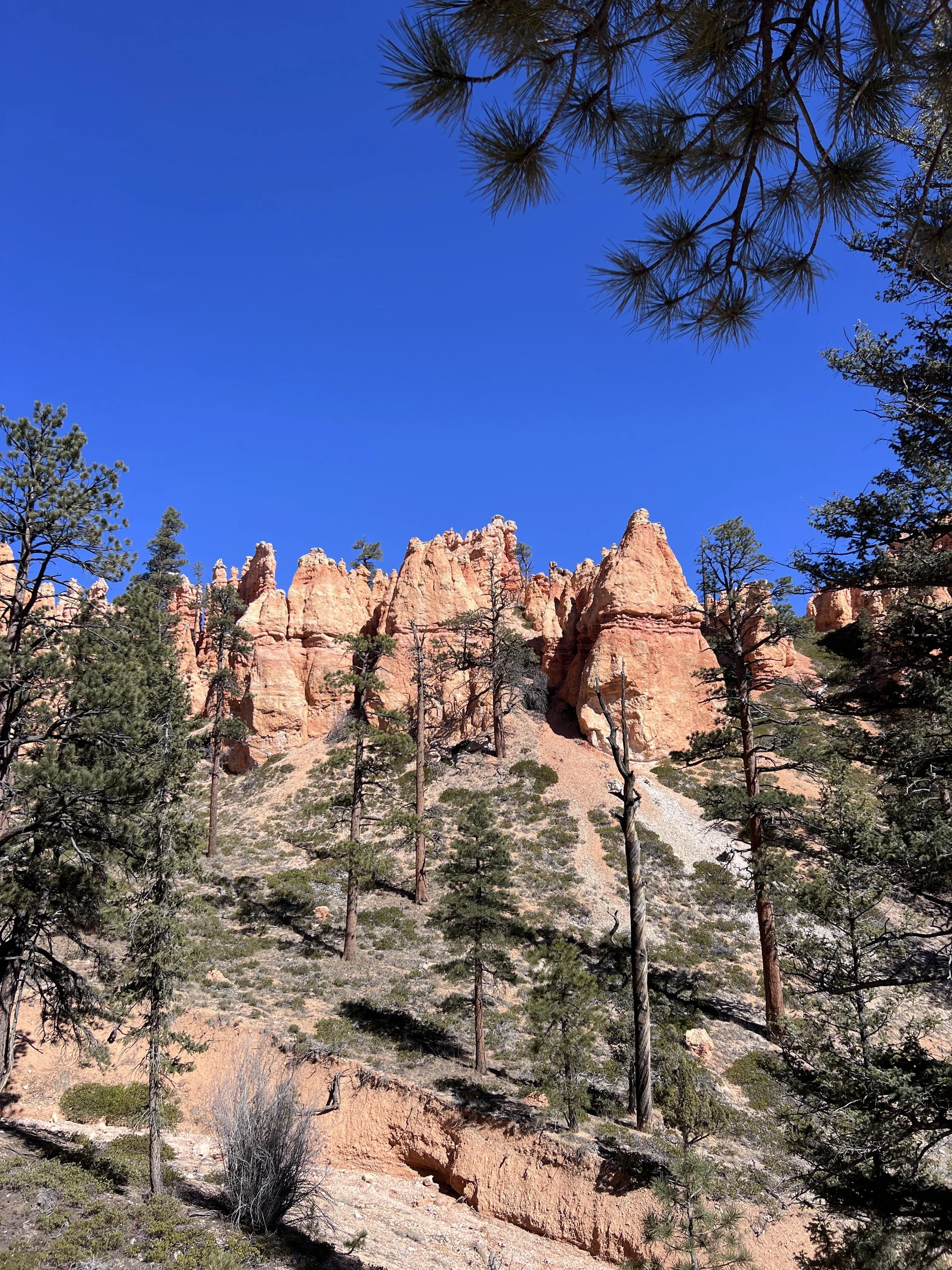 Bryce Canyon National Park