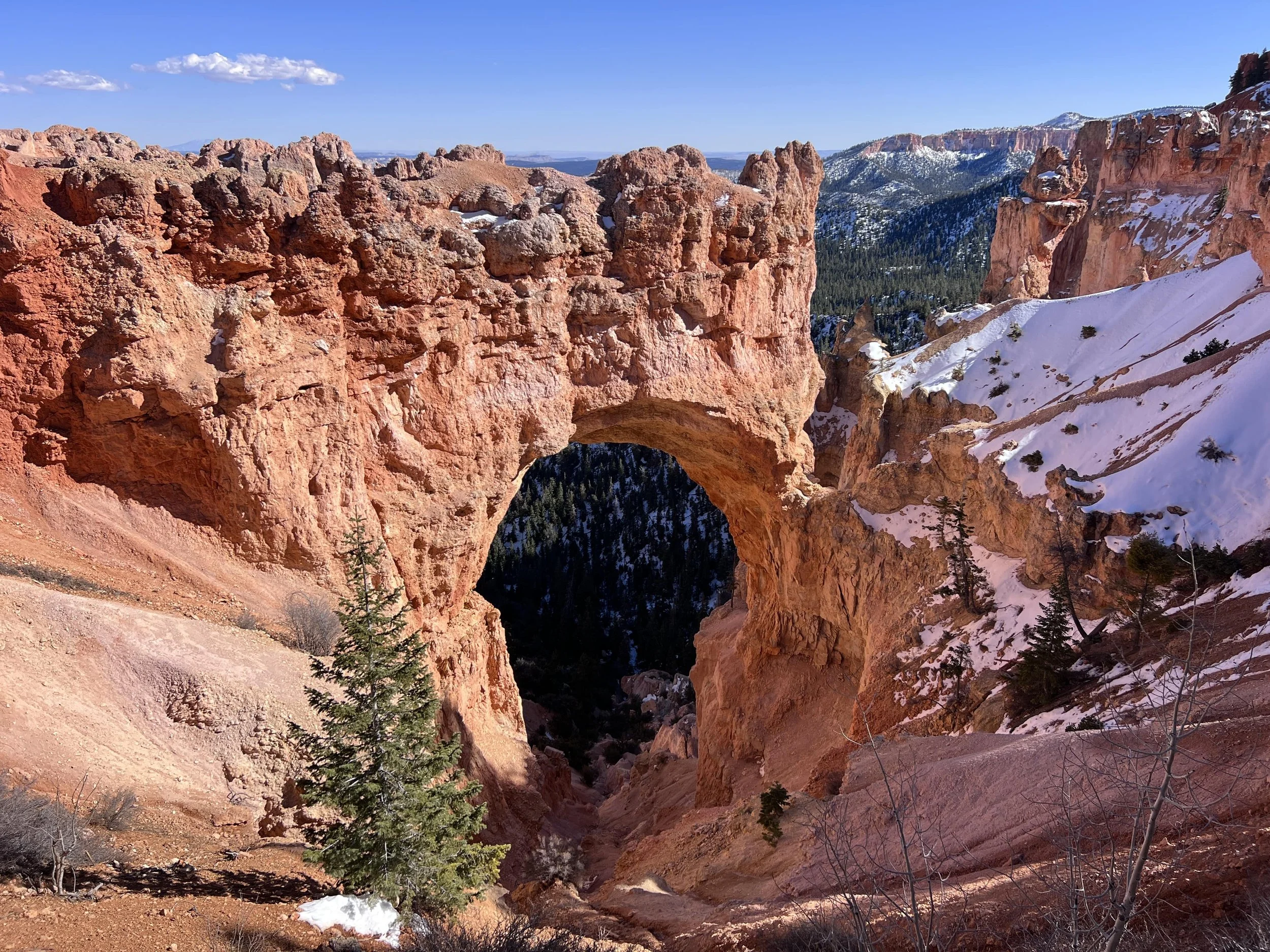 Natural Bridge