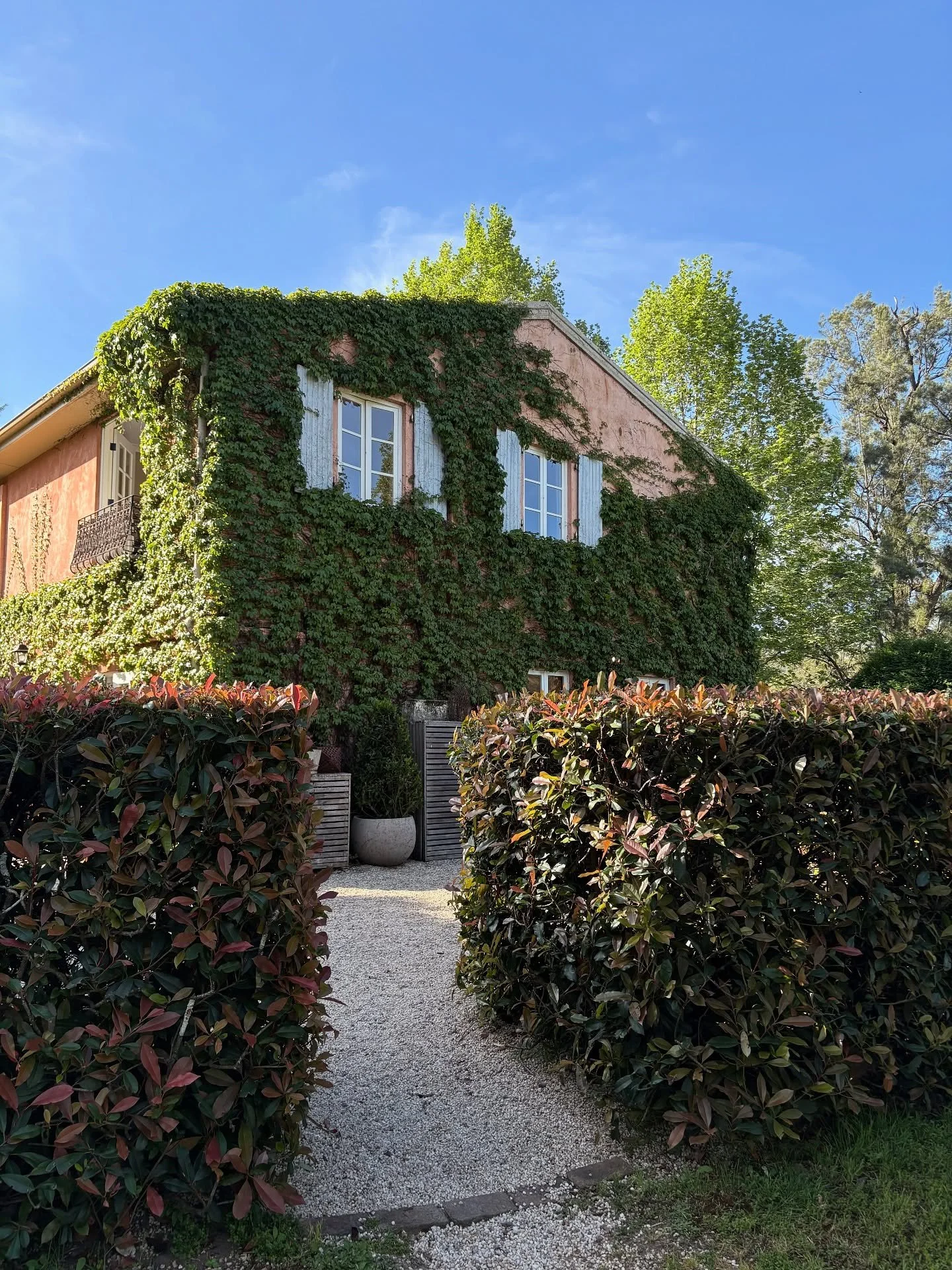 Little moments I caught between filming - Jade &amp; Lucas&rsquo; day was all love and laughter ✨

Forever one of my favourites venues @redleafwollombi 🥹

Planner @yourdaybychloe 
Photographer @hungryhearts_co 
Videographer @morelifefilms  Flowers @