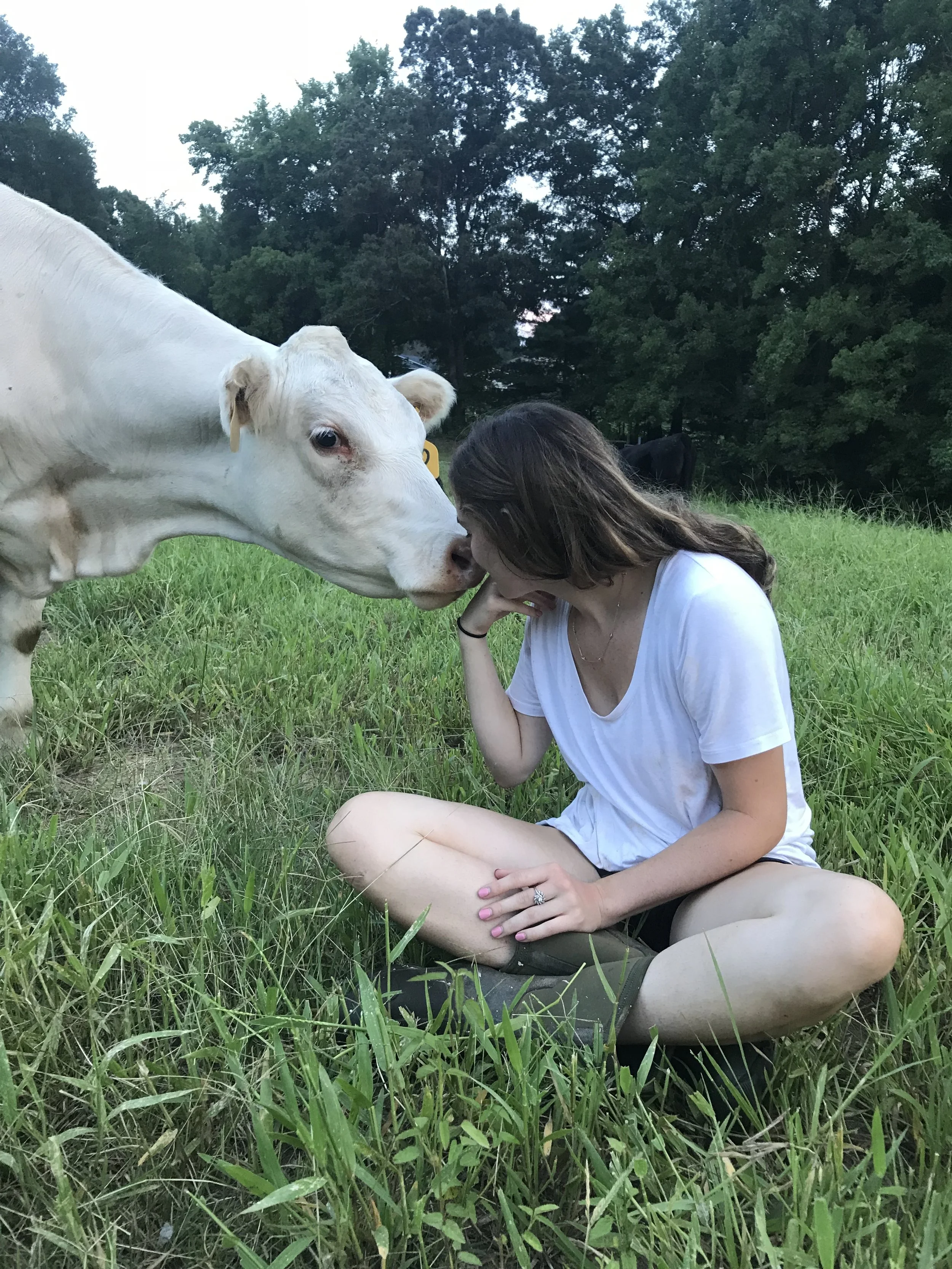 About — Allen Family Farms