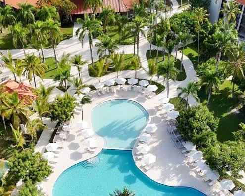 serenity pool.png