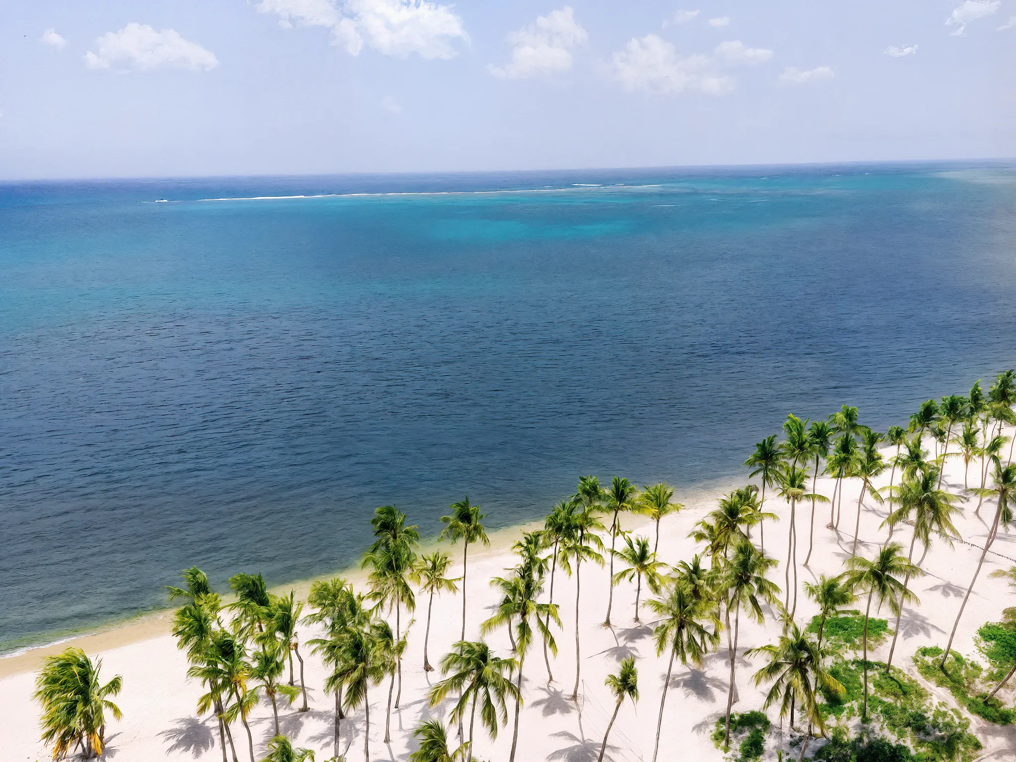 beach aerial.png