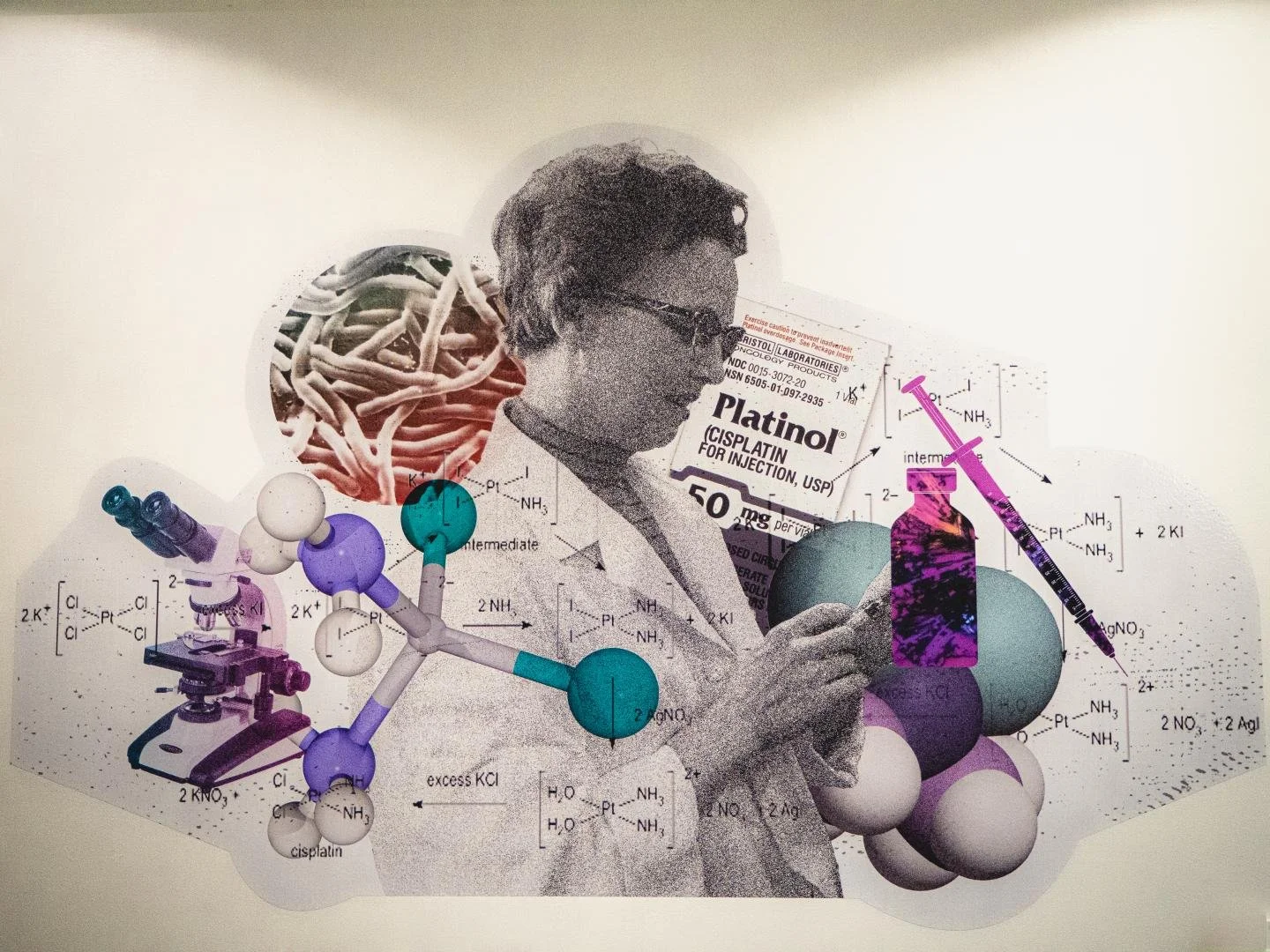 The University Corporate Research Park Launches VanCamp Incubator