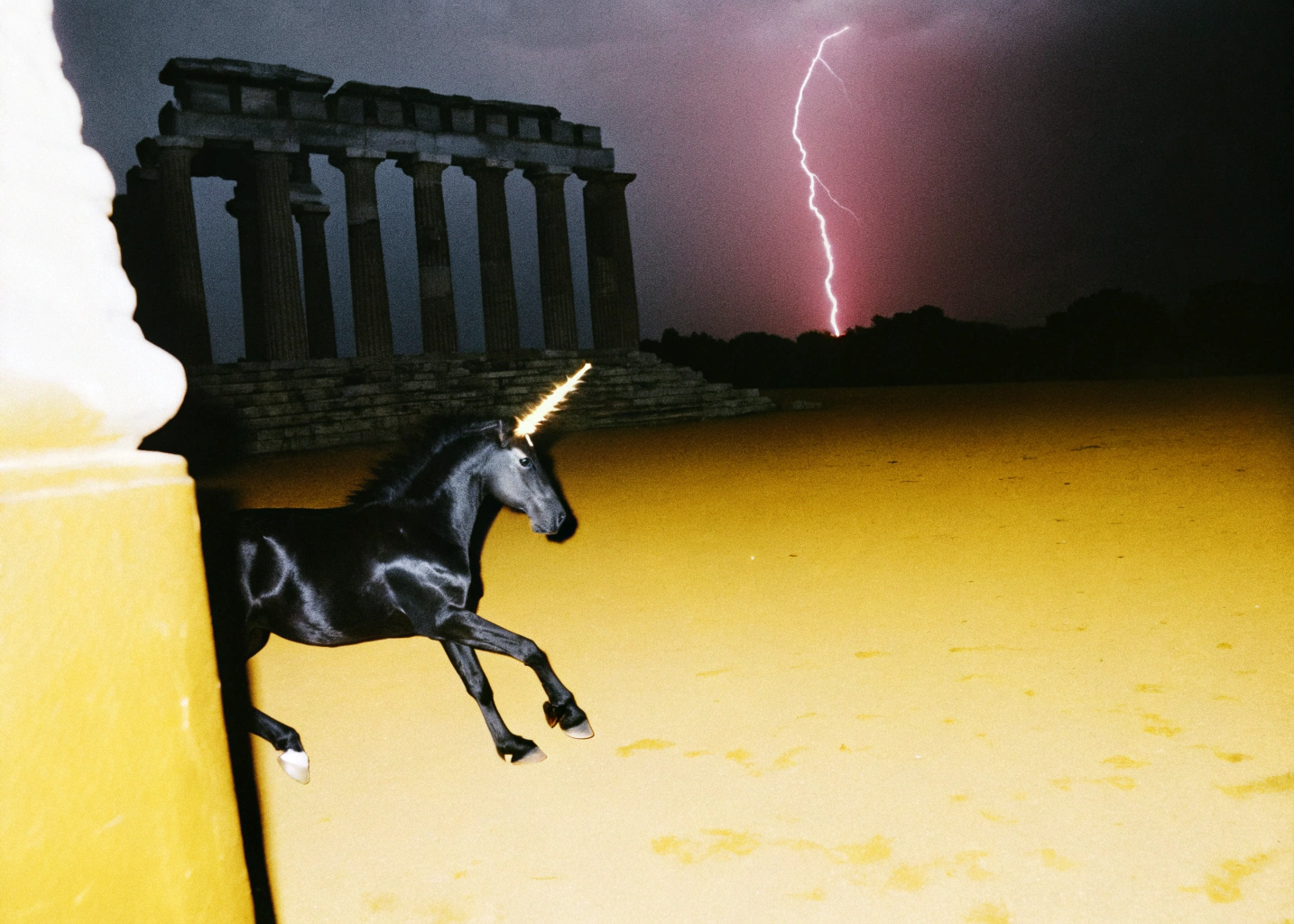 35mm-film-hard-flash-photography--black-unicorn-wi.png