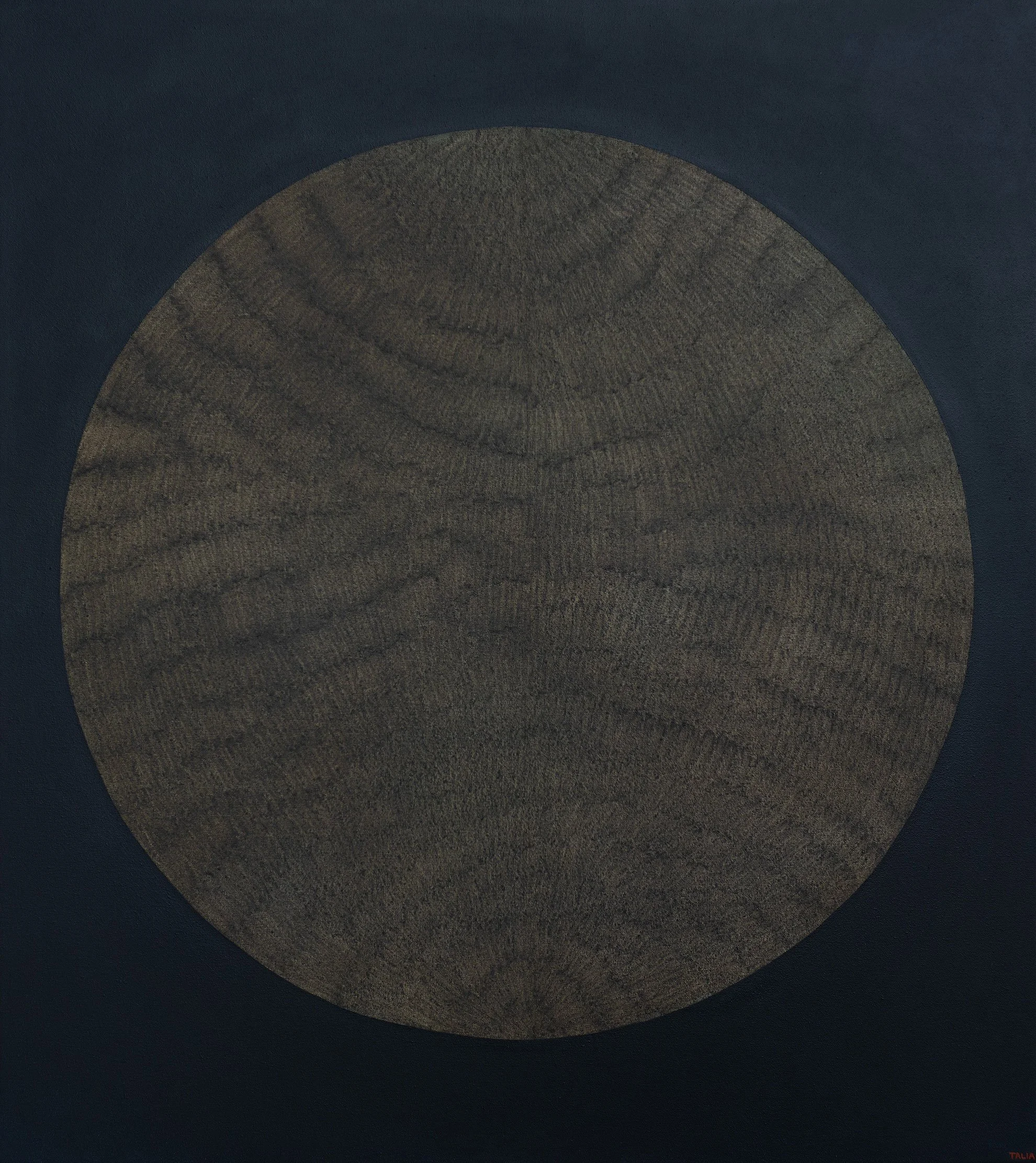 Western Pearlshell Star, 2023