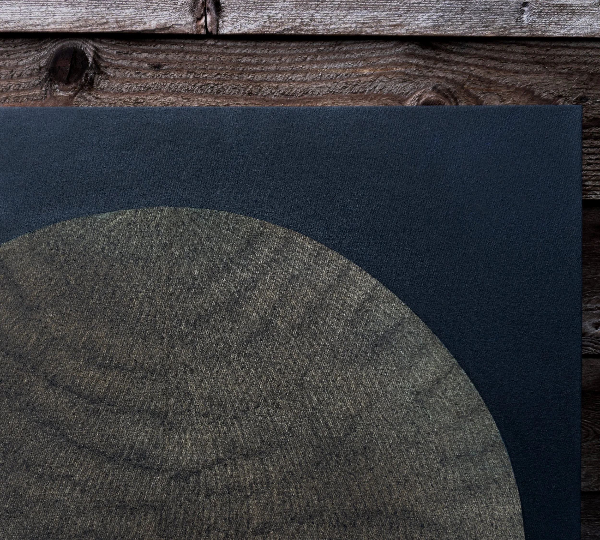 [Detail] Western Pearlshell Star_Talia Roberts.jpg